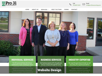 Pro31 Accounting Website